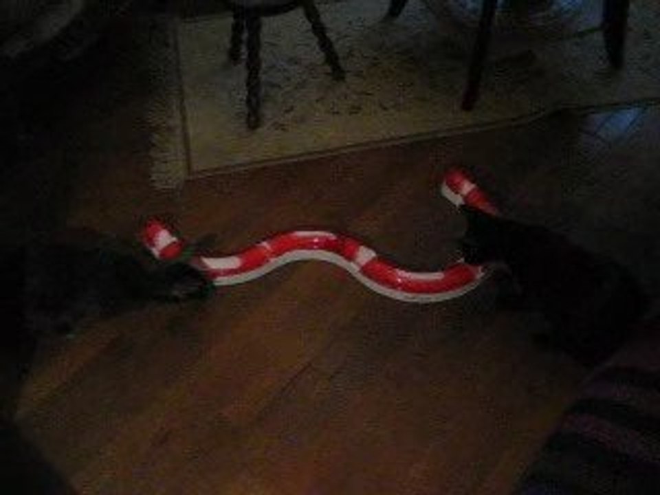une partie de boule