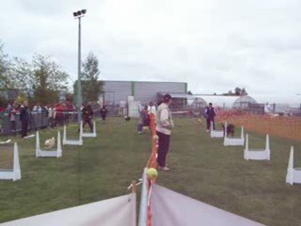 fly
