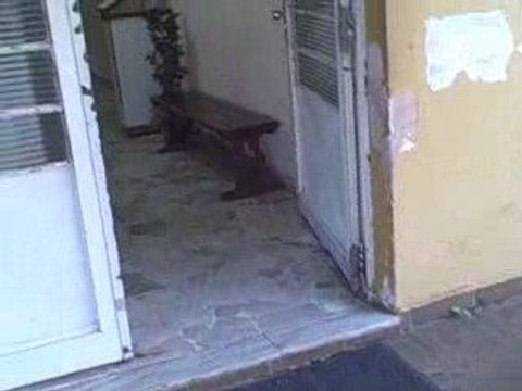 World Endeavors: Brazil Volunteers 6: Daycare Center