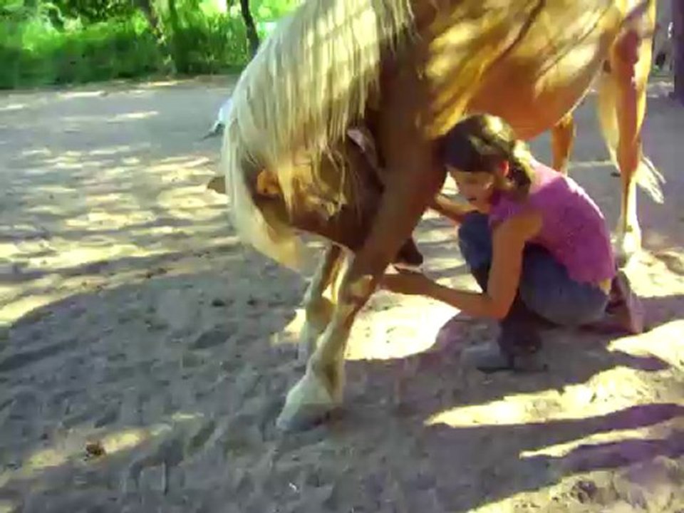 Debut Salut De la Reine 2