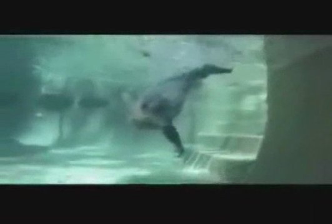 Tomates Fritos - Nadaré hasta llegar