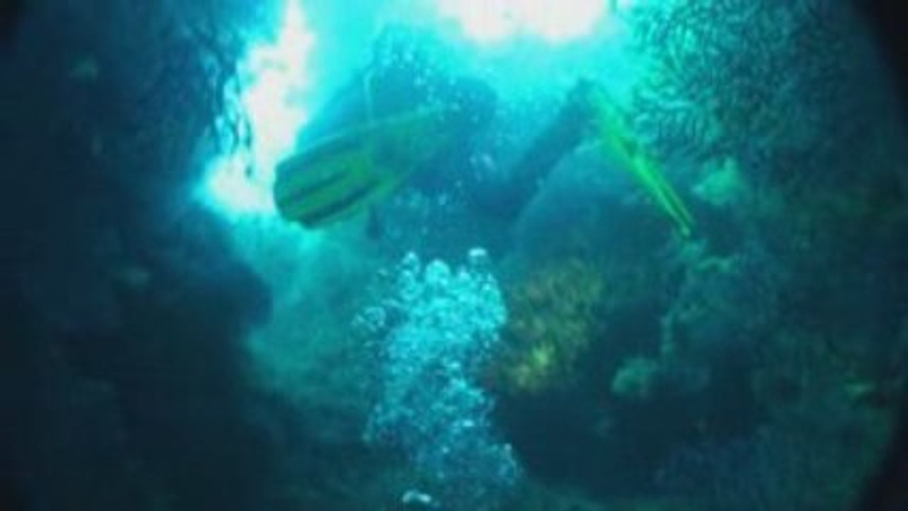 Les épaves du Planier