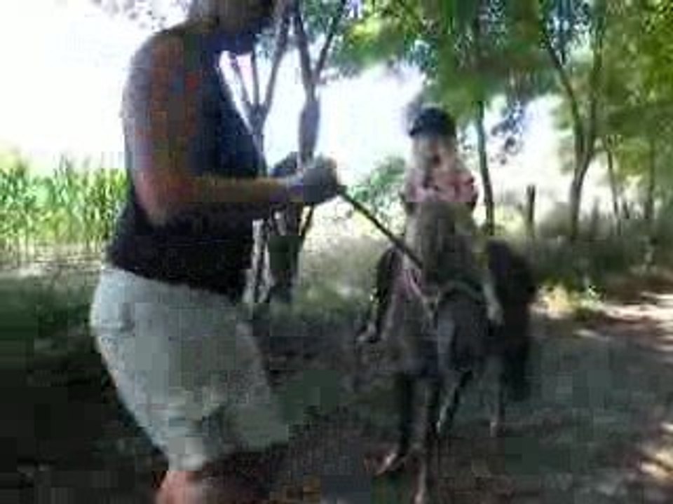Lina fait du poney