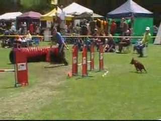 EO 2009 AQUA JUMP INDIV