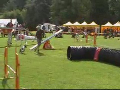 EO 2009 AY'VIE AGILITY INDIV