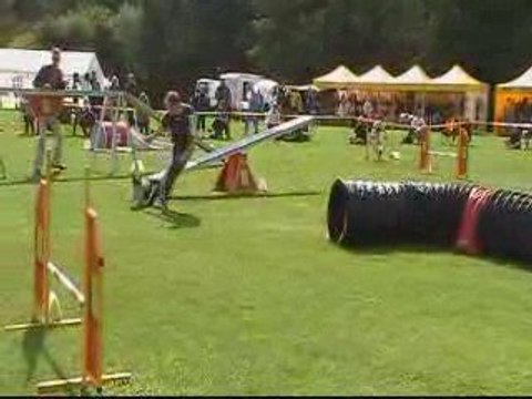 EO 2009 BAD BOY AGILITY INDIV