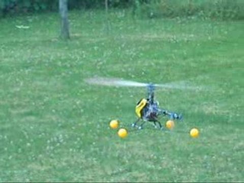 mes premiers vols en t rex 450 se v2