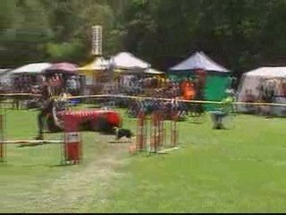 EO 2009 BAD BOY JUMPING INDIV