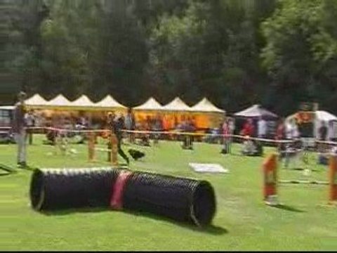 EO 2009 BEPOP AGILITY INDIV