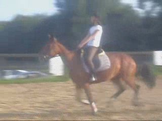 Moi et Fiesta du Fays en cours de saut