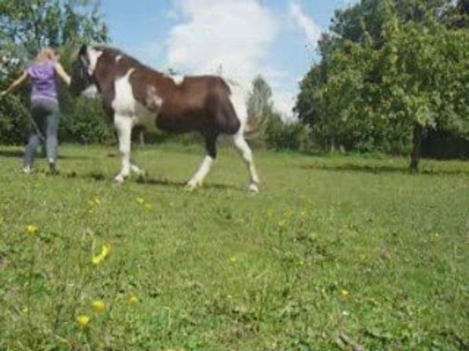 Rudy 28 juillet