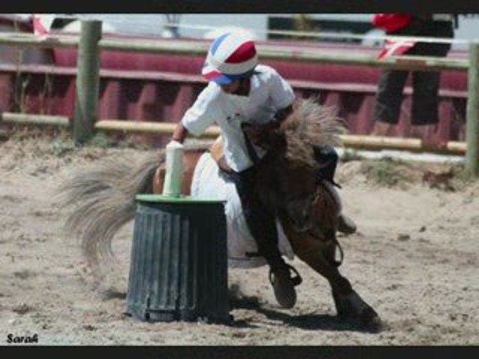 Championnats d'europe 2009pony games championnats d'europe