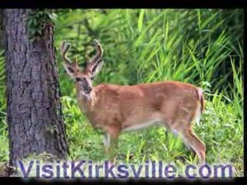 North Missouri Whitetail Deer Hunting