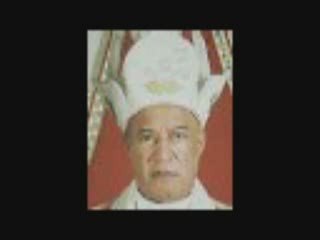 Gnoo Diplo - summer 2009 - Les envahisseurs