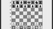 Chess Openings for Beginners: Lesson 1