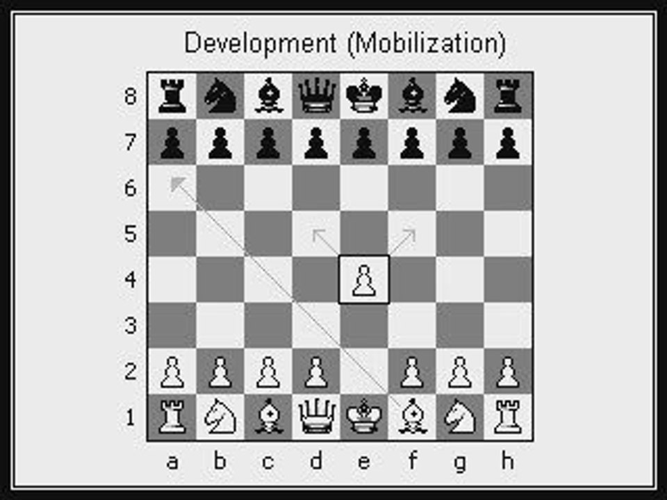 Chess Openings for Beginners: Lesson 1