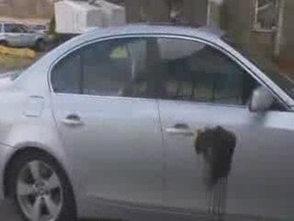 Automotive Detailing - Safe, Effective Automotive Detailing