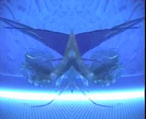 L'AMOUR DES POISSONS