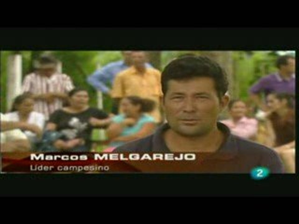 Impactos do cultivo da soja transgénica