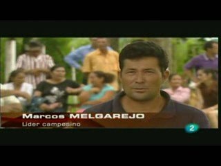 Impactos do cultivo da soja transgénica