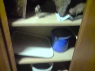 KM TV : Derrière les coulisses : Les casiers du Ponto