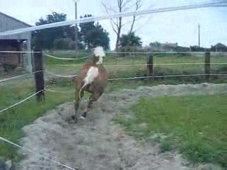 Medee & moi 26/07/09