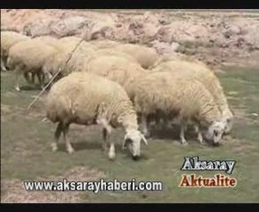 Aksaray Aktualite Eskil ve Sultanhanı 1