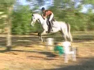 obstacle isolé olympic