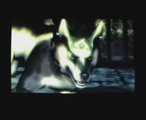 Zelda TP (GC) 04 le chateau de Hyrule