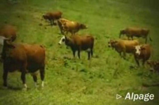 Autour des Aravis - Alpages