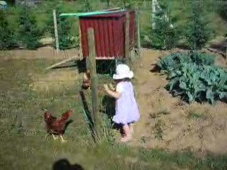 Léonie et les poules