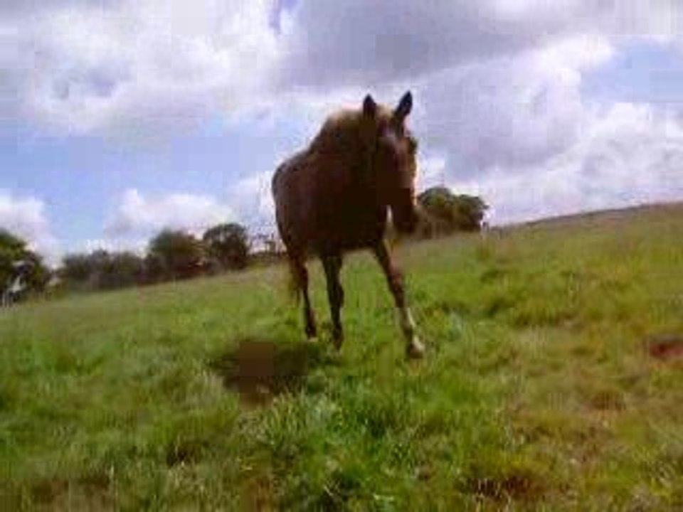 Quella en mode roulage