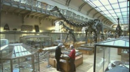 Planète Terre - Mystères de l'Évolution - 07/18