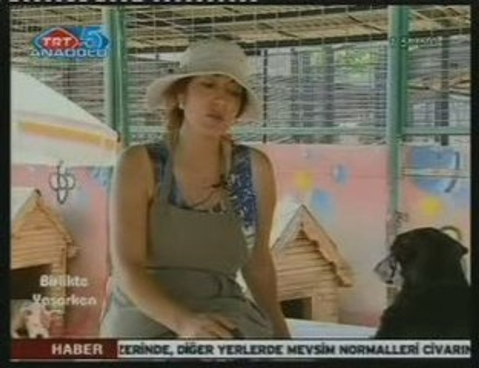 Birlikte yaşarken trt2