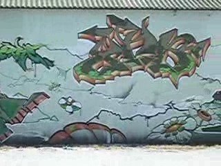 Graffiti - fresques à Montpellier 2
