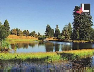 Evergreen Dev Anand in Scotland