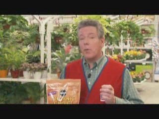 How to Plant Flowering Bulbs For Spring and Summer