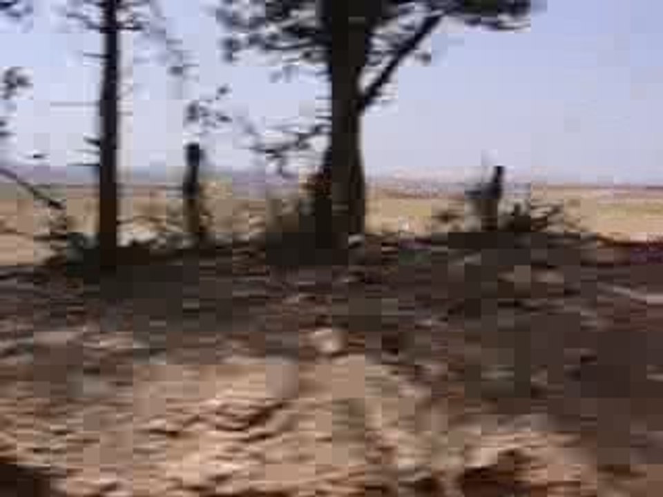Paysage algérien