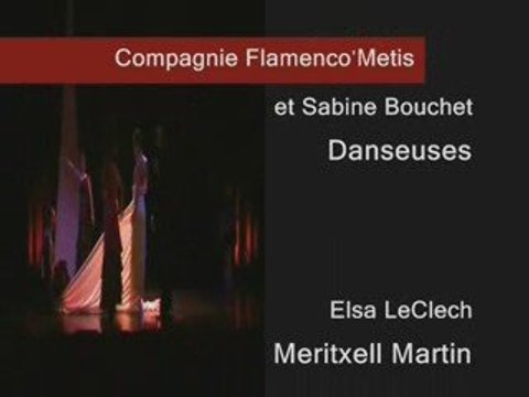 Spectacle danse flamenco et contemporain