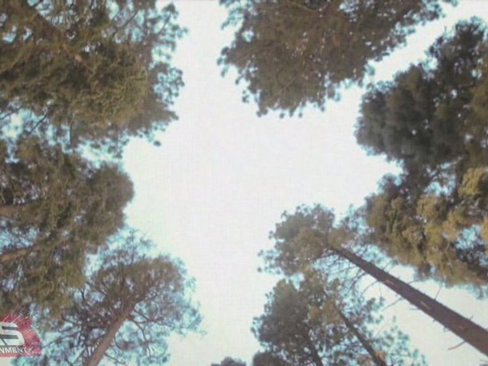 The B (The Backwards Movie) Burton's 2009-2010 Snowboarding