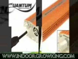 Looking For Hydroponic Equipment? Visit IndoorGrowKing.com!