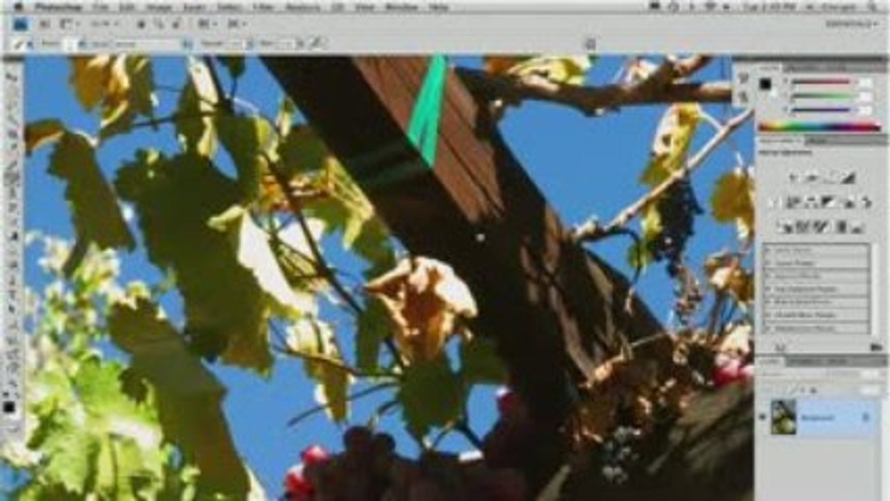 WACOM PRODUCTS & ADOBE PHOTOSHOP CS4