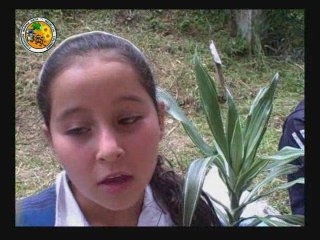 Video evalautivo del proyecto VUELA Monitores OLPC