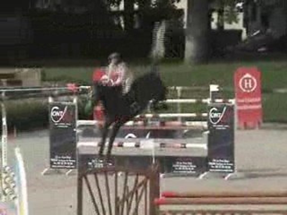 Caballo de 5 años por Diamant de Semilly x Contender