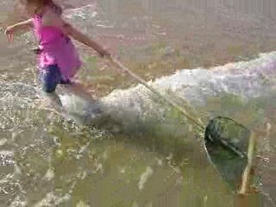 Journée à ostende ce 29 juillet 2009