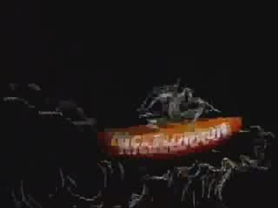 Nickelodeon Bumper- Surfer