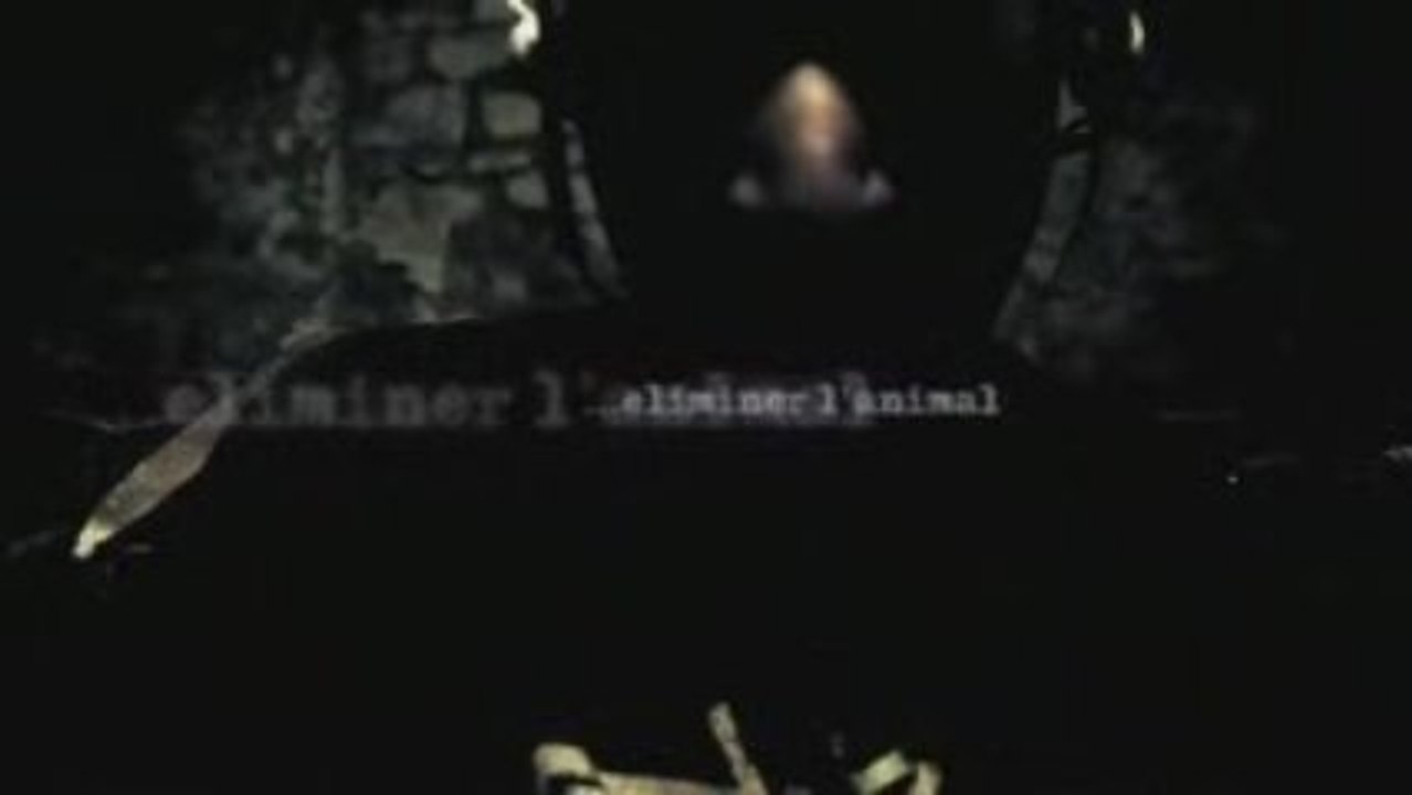 Teaser - CASEY _Liberez la bête