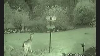 Deer repellent Sprinkler