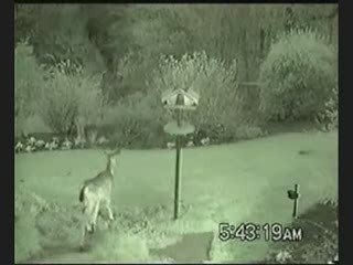 Deer repellent Sprinkler