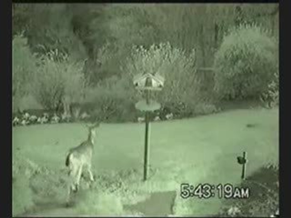 Deer repellent Sprinkler